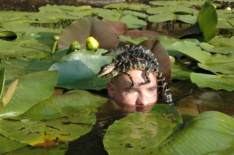 israel dupont in marsh with baby alligators1